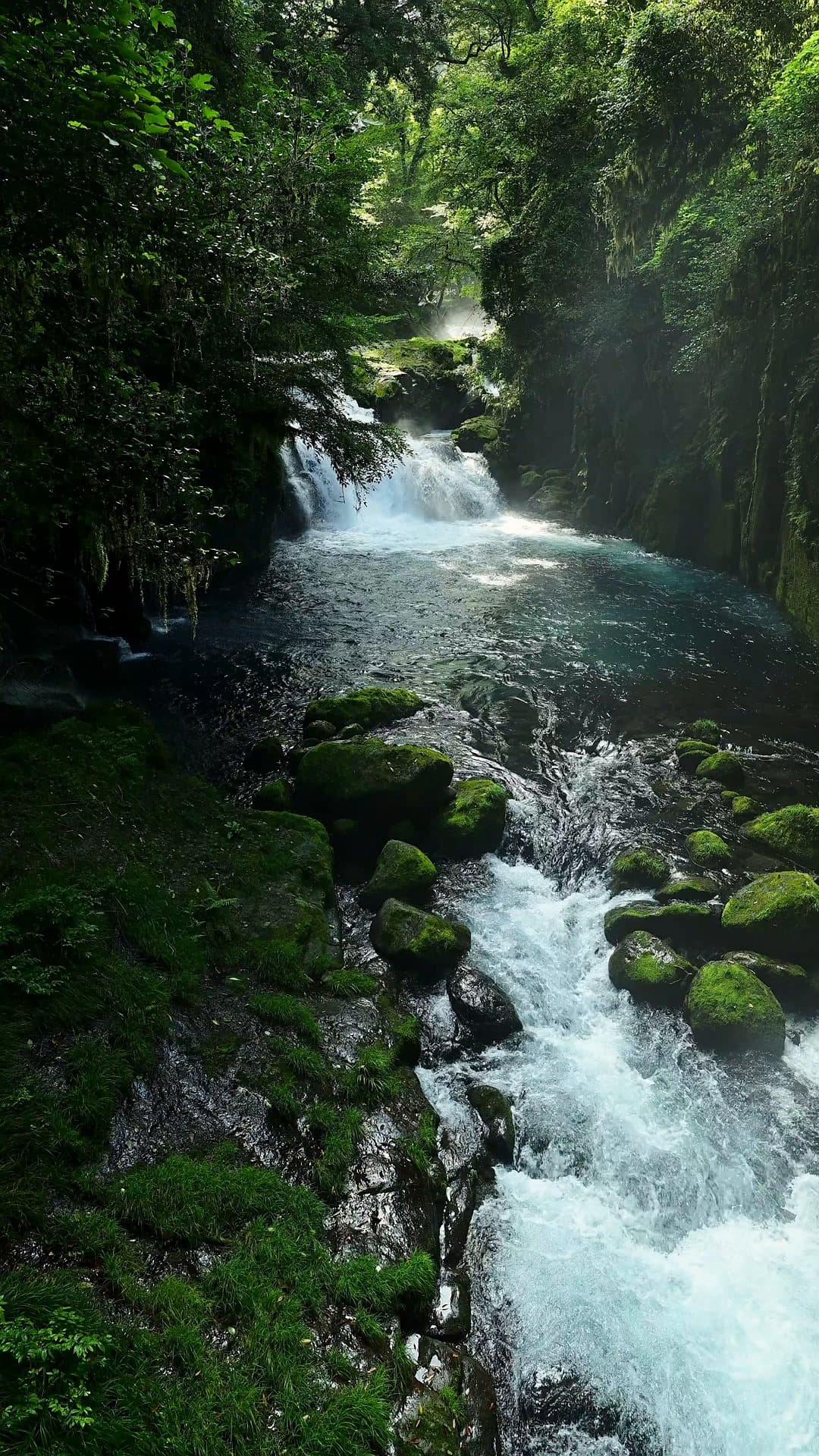 Waterfall Mountain stream Flow